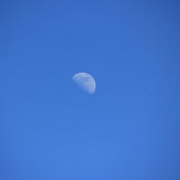 Луна. :: Руслан Грицунь