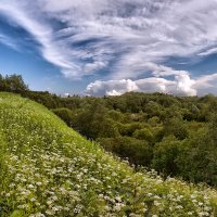 Летняя зарисовка :: Зоя Авенировна Куренкова