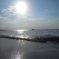 Куршский залив :: Михаил ИСАЕВ