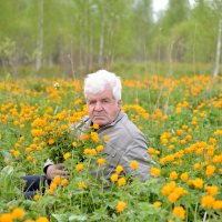 В цветном половодье :: Николай Терентьев