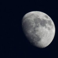 луна :: Алена Дегтярёва