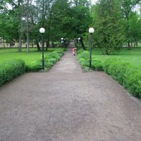 Утром в парке :: Владислав Плюснин