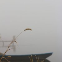 Лодка в тумане :: JlakocT 
