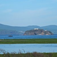 Морские ворота Владивостока :: Нина Ковзель