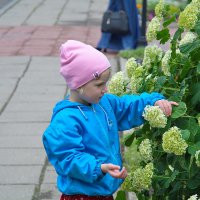 Приобщение к красоте. :: Геннадий Александрович