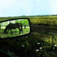 Взеркалье...) :: Августина Ли