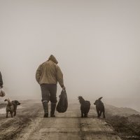 Густой туман :: Кирилл Стопкин