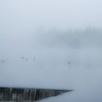 туман :: Сергей Политыкин