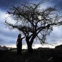 Одинокое дерево :: Катрин Кот