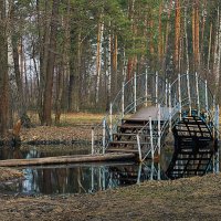 Детсво :: Антон 