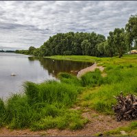 Про чаек и рыбу...кто сверху... :: Евгений Никифоров