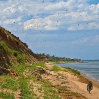 На Волжских берегах :: Александр Тарута