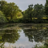 Поместье Водяного :: ФотоЛюбка *