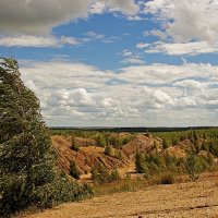 Ветер. :: Анатолий Круглов