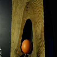 Монумент яйцу или монументальное яйцо :: Николай Фарионов