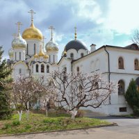 Весна в Зачатьевском женском монастыре :: Nikolay Monahov