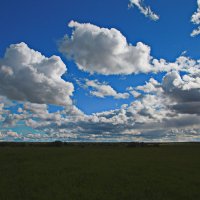 Облака, облака... :: Виталий Житков
