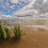 На Куршской косе :: Владимир Самсонов