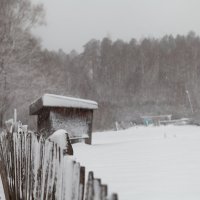 Зима :: Ольга Скороходова