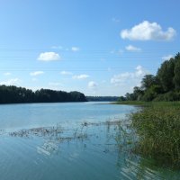 Залив. Истринское водохранилище. :: Кружалина Наталья 