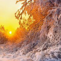 Зимний закат солнца... :: Федор Кованский