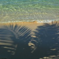 Солнце,море,пальмы и песок :: Владимир Рубцов