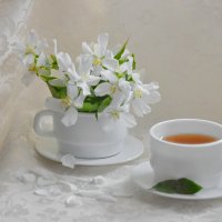 Чай с лепестками жасмина :: *ALISA* ( minck55 )