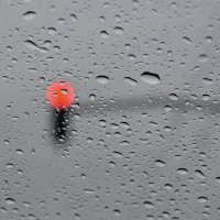 ...дождь, машина, светофор... :: Ольга Нарышкова