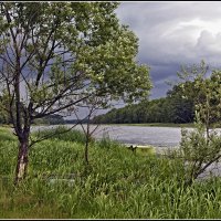 Перед дождём :: Владимир Дементьев