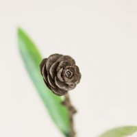 деревяная роза 2 :: terza 
