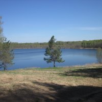 Озеро Светлояр. :: Людмила Кравцова
