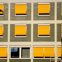 yellow window :: Марина 