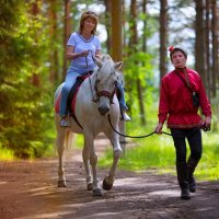 Куда ты завел нас, Сусанин-герой? ! - Идите в ... , я сам здесь впервой. :: Александр Фёдоров