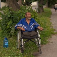 Бездомный Камиль из Кабардино-Балкарии :: Татьяна Копосова