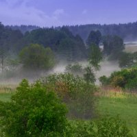 Сгущался туман :: Лара Cимонова Бошкович Симонова