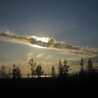 Солнечное облако :: Ольга Засухина 