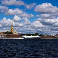 Вид на Петропавловскую крепость :: Olga Ionina G