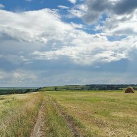 Сенокосная пора. Дорога :: Виктор Четошников