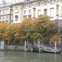 Осень в Париже. :: Жанна Викторовна
