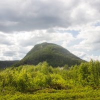 Сахарная головка :: Kukka Kivella Олег Степанов