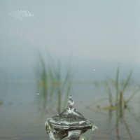 Буря в стакане :: Сергей Шаврин