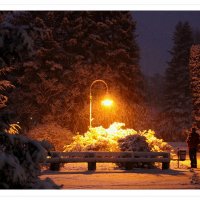 Первый снег в Хевизе. Венгрия. :: Alina 