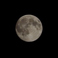 Луна в ночь с 11 на 12 июля.2014г :: Геннадий Оробей