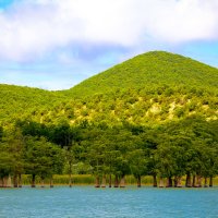 чудо озера Сукко-кипарисы :: Алёна Палий