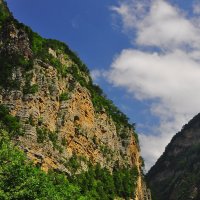 Дигория,Дигорское ущелье,Северная Осетия :: lyuda Karpova