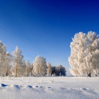 Рождество :: Боргель 