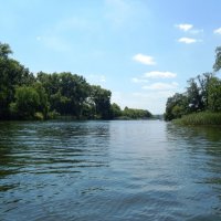 Река Саксагань :: Дарья Неживая