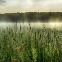 Утро на озере :: Андрей Черненко