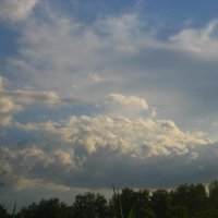 Вечернее небо :: оля san-alondra
