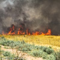 пошел в наступление :: Ежи Сваровский